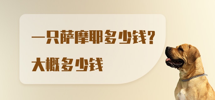 一只萨摩耶多少钱？大概多少钱