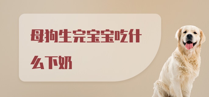 母狗生完宝宝吃什么下奶