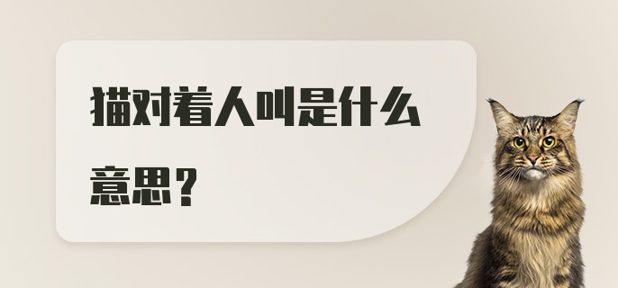 猫对着人叫是什么意思？