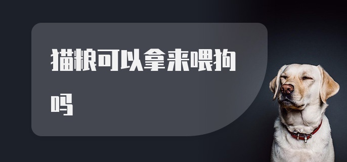 猫粮可以拿来喂狗吗