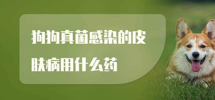 狗狗真菌感染的皮肤病用什么药