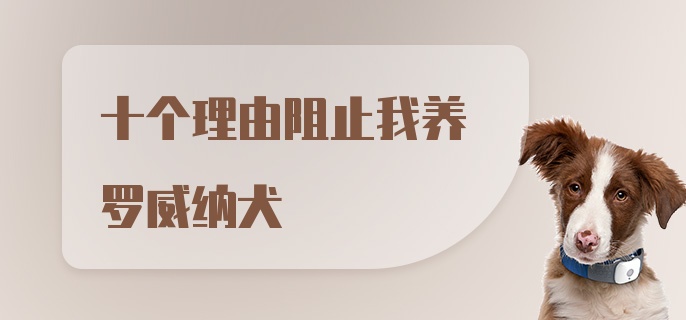 十个理由阻止我养罗威纳犬