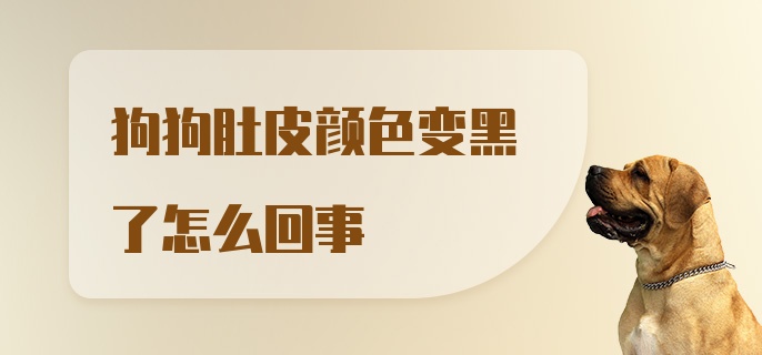 狗狗肚皮颜色变黑了怎么回事