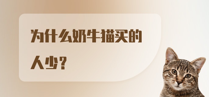 为什么奶牛猫买的人少?