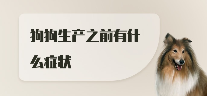 狗狗生产之前有什么症状