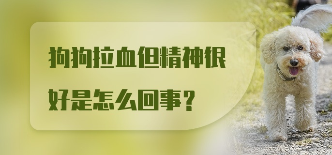 狗狗拉血但精神很好是怎么回事？