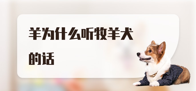 羊为什么听牧羊犬的话