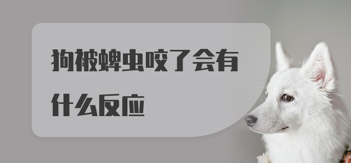 狗被蜱虫咬了会有什么反应