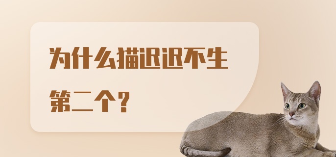 为什么猫迟迟不生第二个？