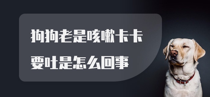 狗狗老是咳嗽卡卡要吐是怎么回事