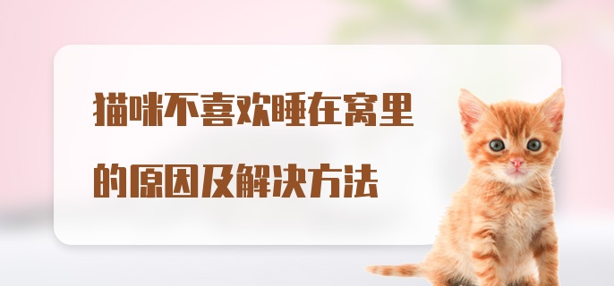 猫咪不喜欢睡在窝里的原因及解决方法