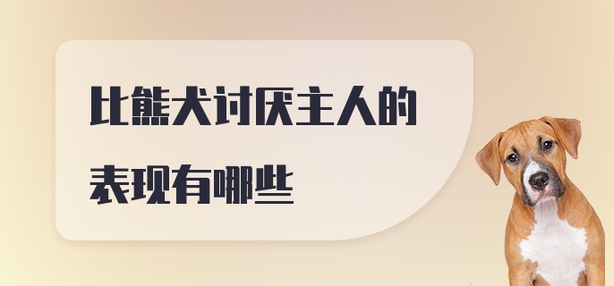 比熊犬讨厌主人的表现有哪些