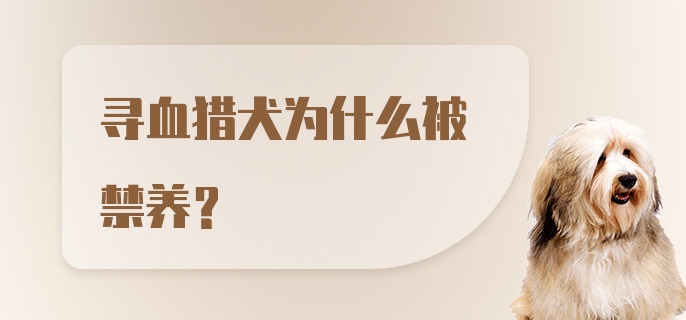 寻血猎犬为什么被禁养？