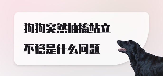 狗狗突然抽搐站立不稳是什么问题