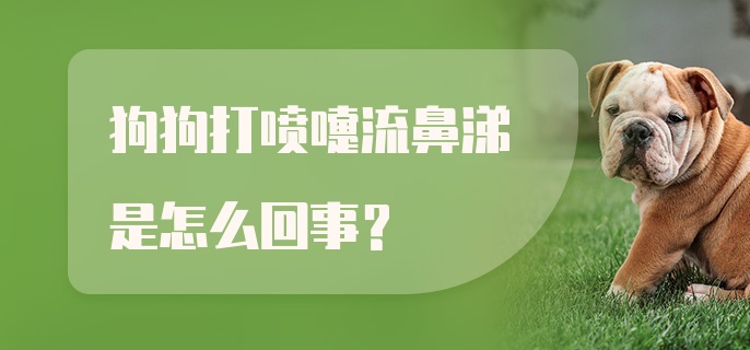 狗狗打喷嚏流鼻涕是怎么回事？