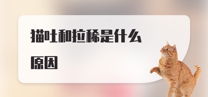 猫吐和拉稀是什么原因