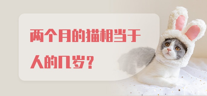 两个月的猫相当于人的几岁？