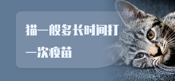 猫一般多长时间打一次疫苗