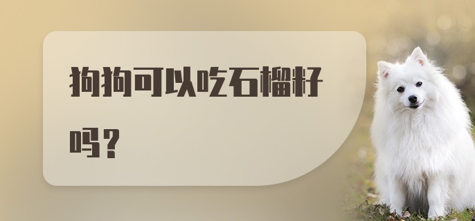 狗狗可以吃石榴籽吗？