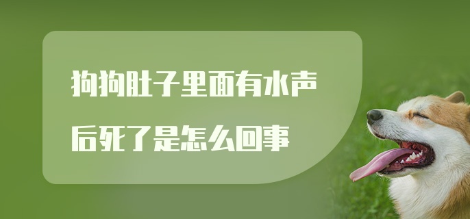 狗狗肚子里面有水声后死了是怎么回事