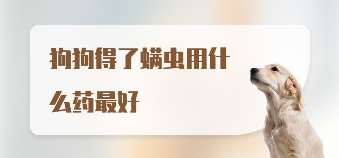 狗狗得了螨虫用什么药最好