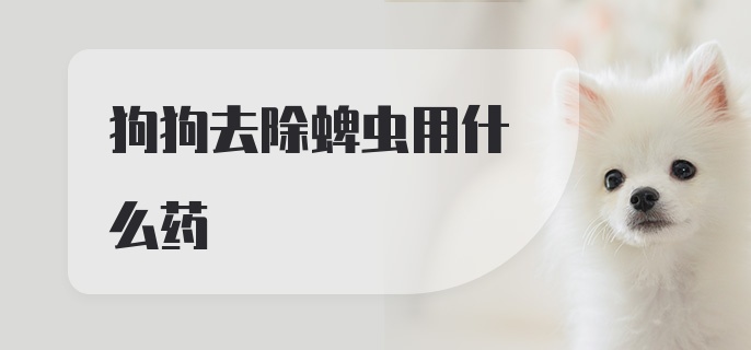 狗狗去除蜱虫用什么药