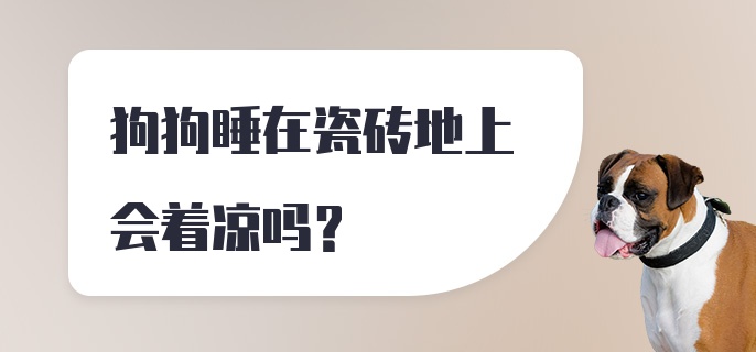 狗狗睡在瓷砖地上会着凉吗？