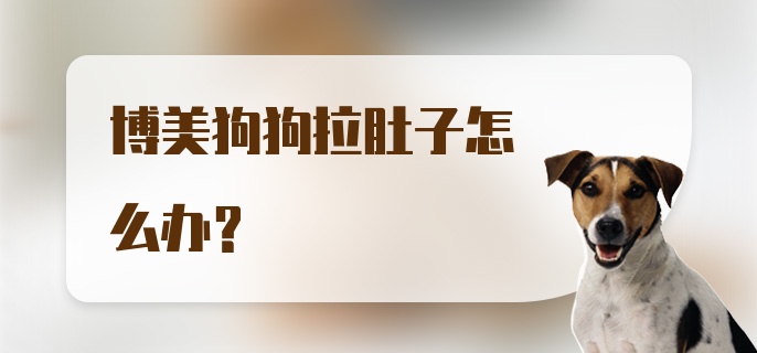 博美狗狗拉肚子怎么办？