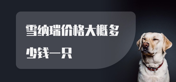 雪纳瑞价格大概多少钱一只