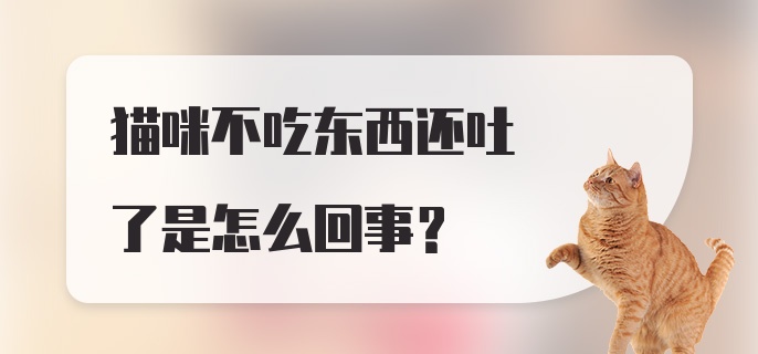 猫咪不吃东西还吐了是怎么回事?