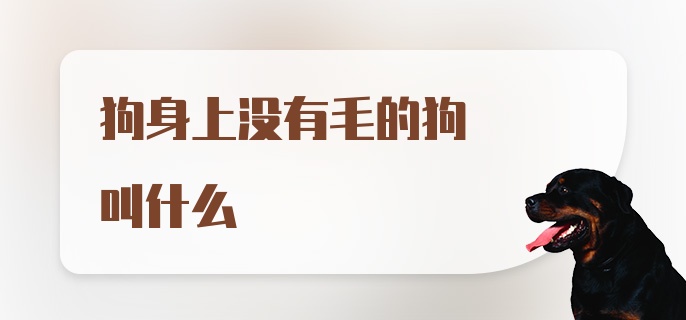 狗身上没有毛的狗叫什么