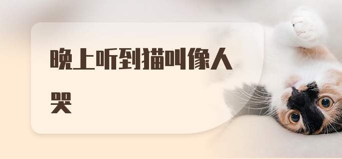 晚上听到猫叫像人哭