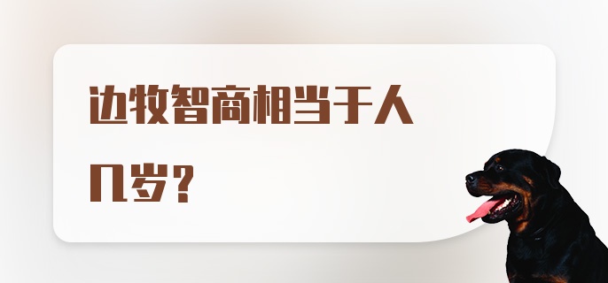 边牧智商相当于人几岁？