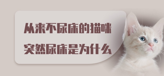 从来不尿床的猫咪突然尿床是为什么