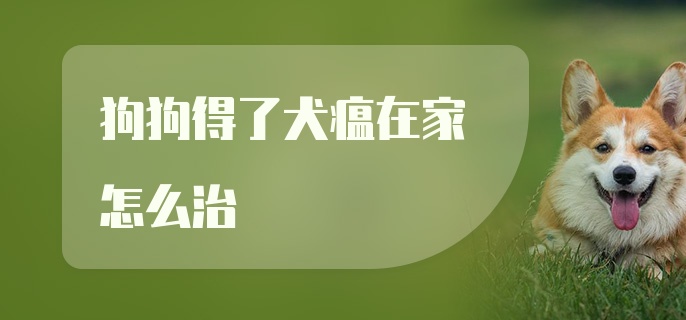 狗狗得了犬瘟在家怎么治