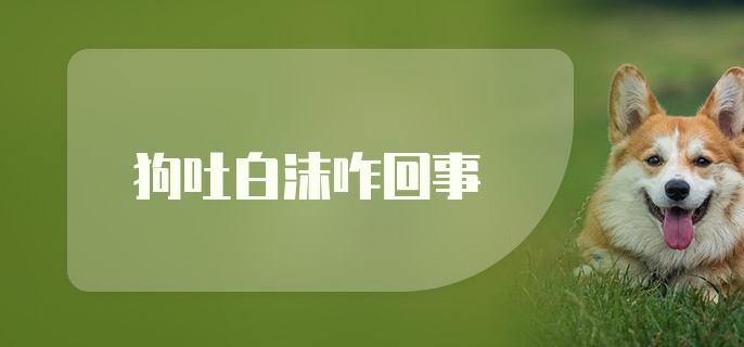 狗吐白沫咋回事