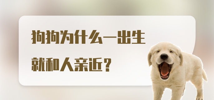 狗狗为什么一出生就和人亲近?