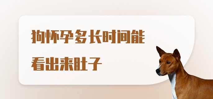 狗怀孕多长时间能看出来肚子