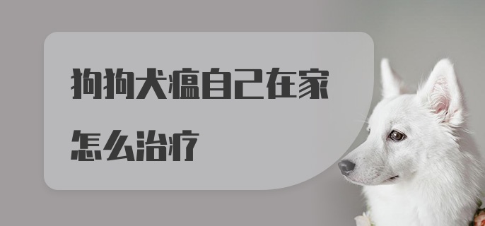 狗狗犬瘟自己在家怎么治疗