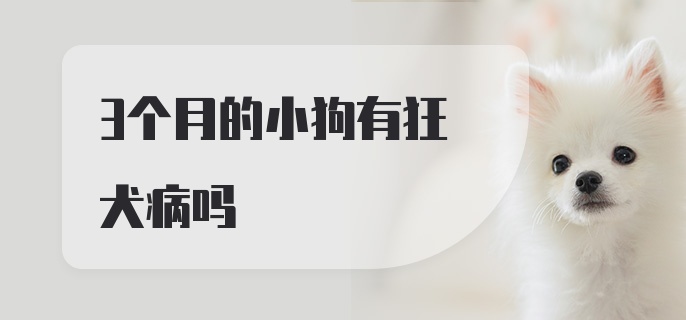 3个月的小狗有狂犬病吗