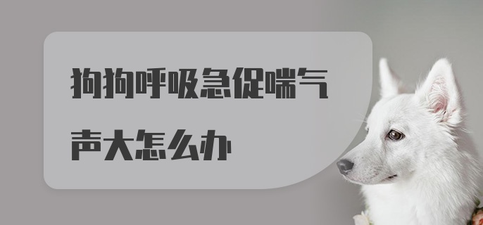 狗狗呼吸急促喘气声大怎么办