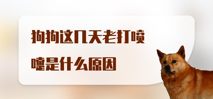 狗狗这几天老打喷嚏是什么原因