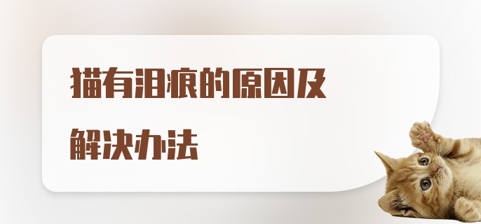 猫有泪痕的原因及解决办法