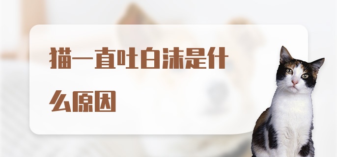 猫一直吐白沫是什么原因