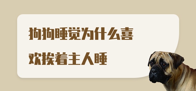 狗狗睡觉为什么喜欢挨着主人睡