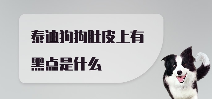 泰迪狗狗肚皮上有黑点是什么