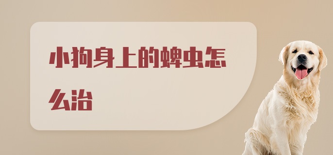 小狗身上的蜱虫怎么治