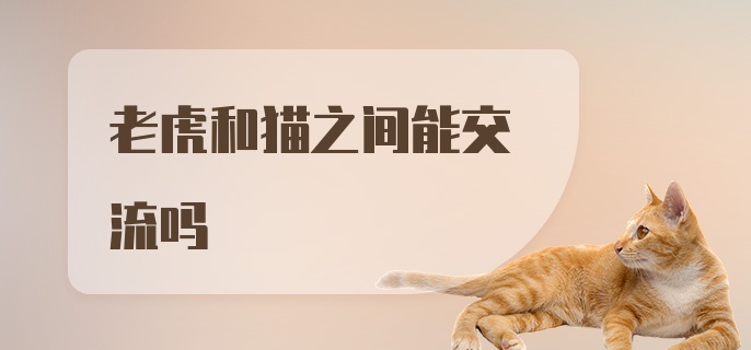 老虎和猫之间能交流吗