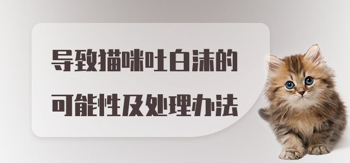 导致猫咪吐白沫的可能性及处理办法