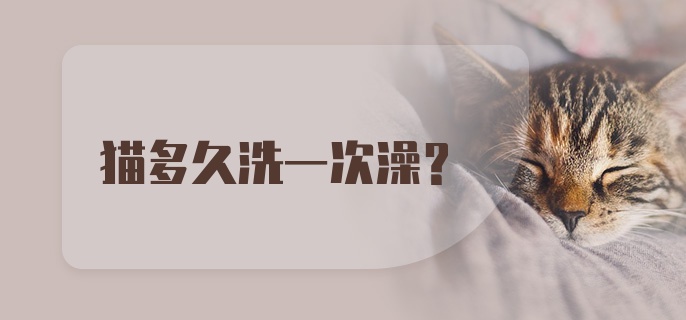 猫多久洗一次澡？